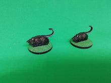 Load image into Gallery viewer, Nine Giant Rats with Bases